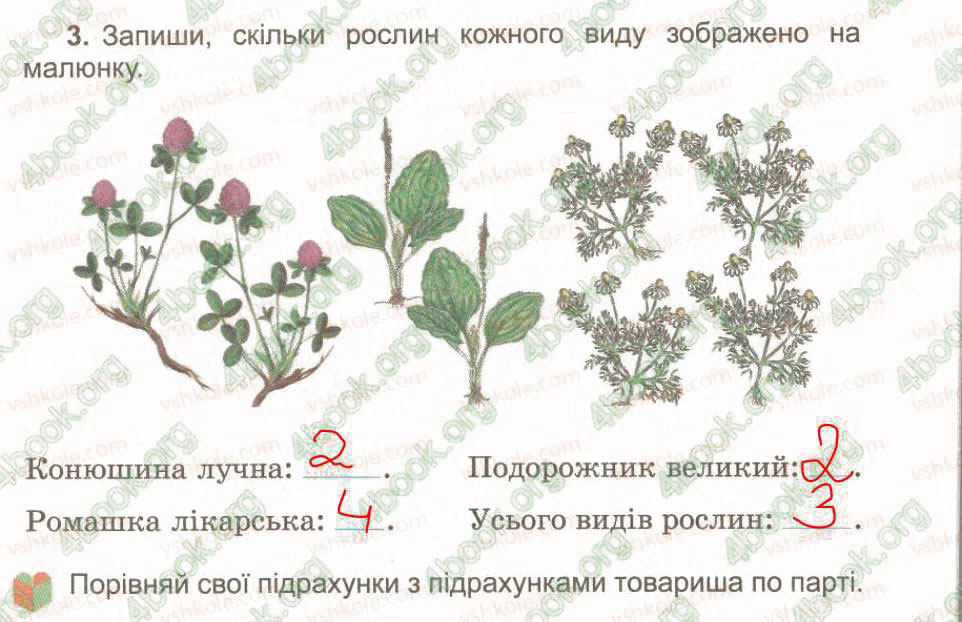 Завдання № 3 - § 23. Різноманітність рослин - ГДЗ Природознавство 3 клас Т.Г. Гільберг, Т.В. Сак 2015 - Зошит