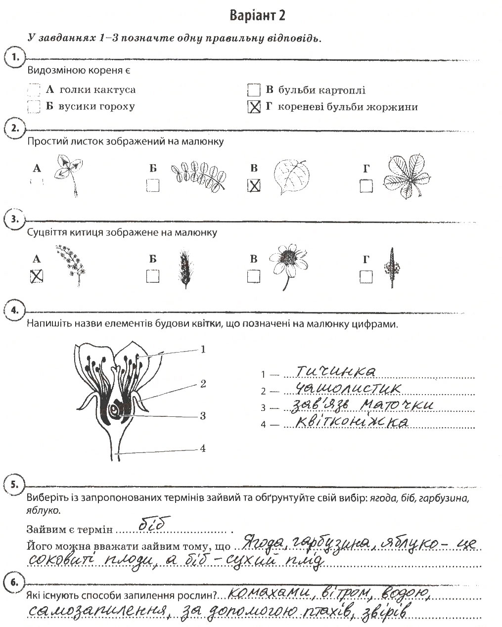 Завдання № В2 - Повторення теми «Рослини» - ГДЗ Біологія 6 клас К.М. Задорожний 2014 - Робочий зошит